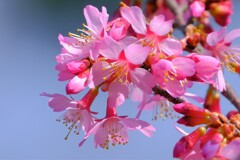 散歩の途中で。Ⅲ