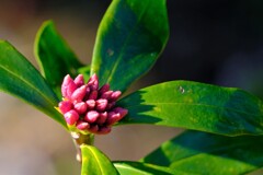 散歩の途中で。Ⅳ