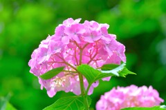 散歩の途中で。７