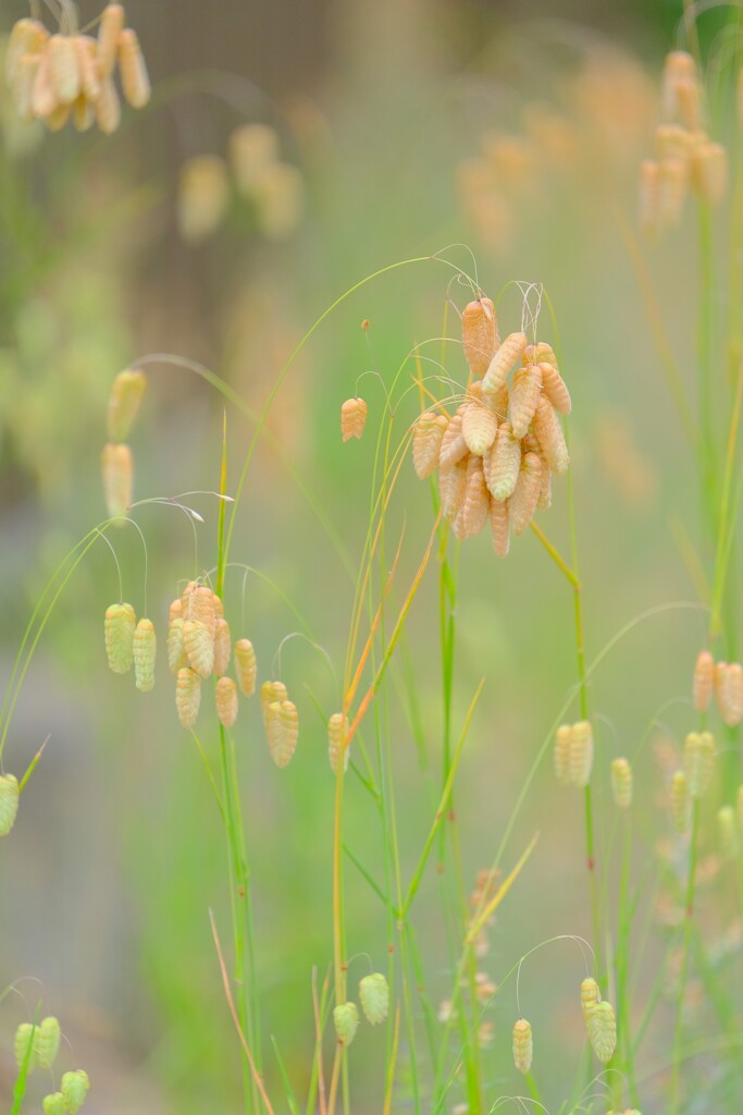 散歩の途中で。