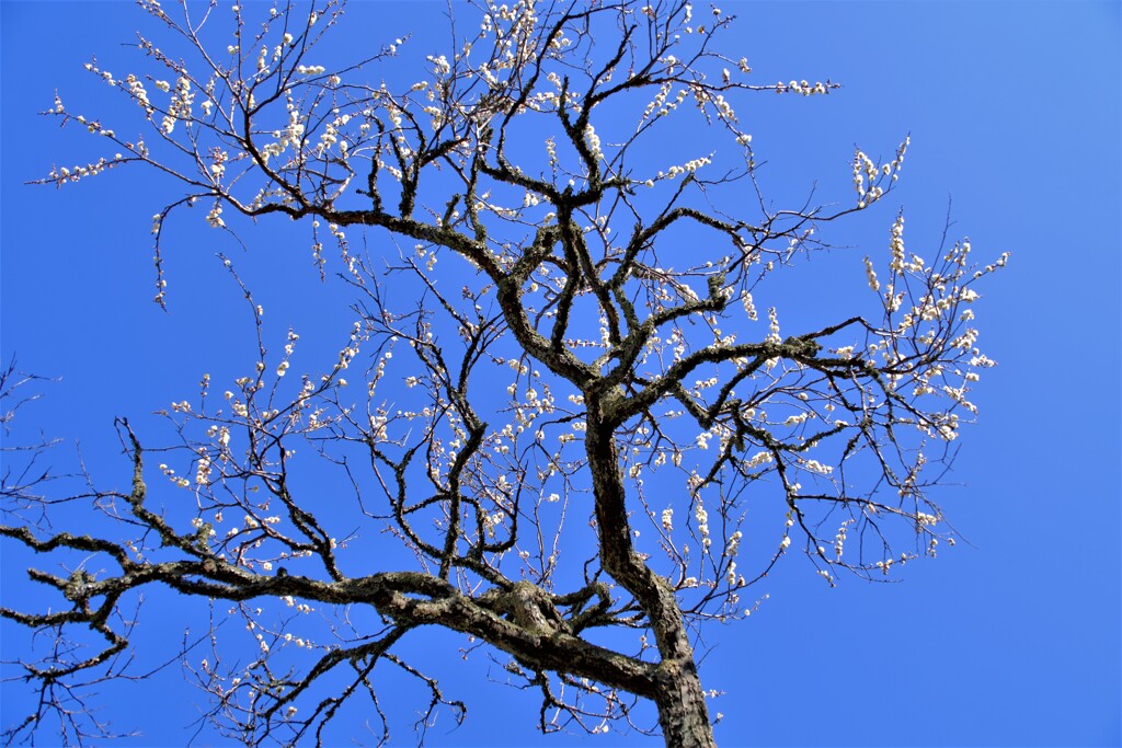 散歩の途中で。Ⅴ