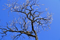 散歩の途中で。Ⅴ