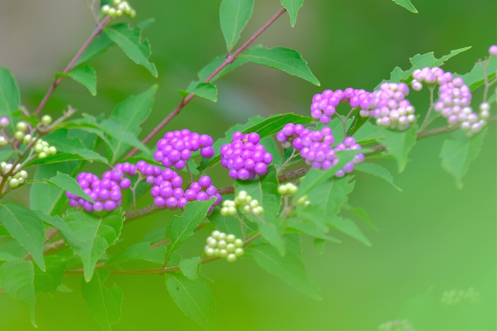 散歩の途中で。３