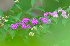 散歩の途中で。３