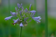 散歩の途中で。