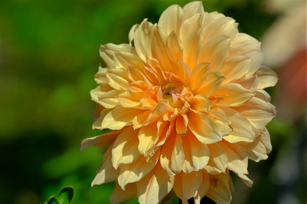 散歩の途中で。Ⅴ