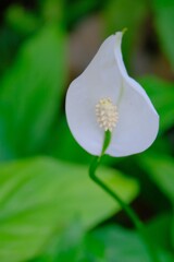 散歩の途中で。