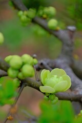 散歩の途中で。6