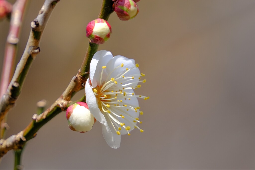 散歩の途中で。４