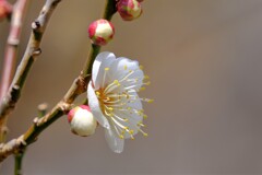 散歩の途中で。４