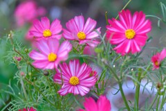 散歩の途中で。２