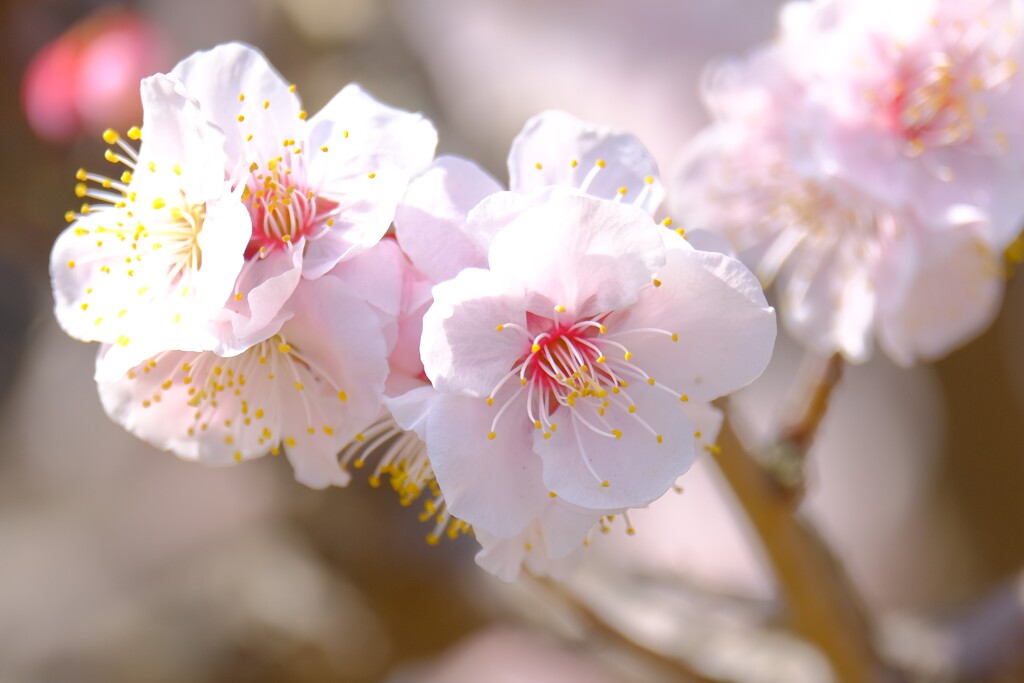 散歩の途中で。Ⅷ