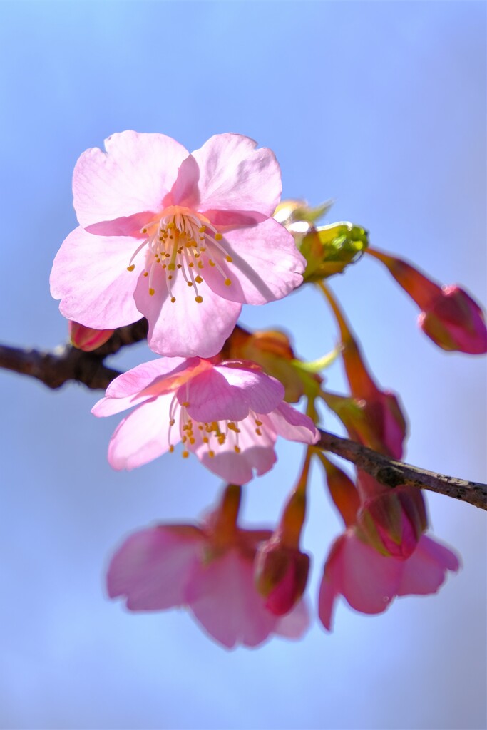 散歩の途中で。３