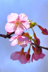 散歩の途中で。３