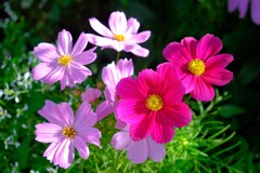 散歩の途中で。Ⅰ