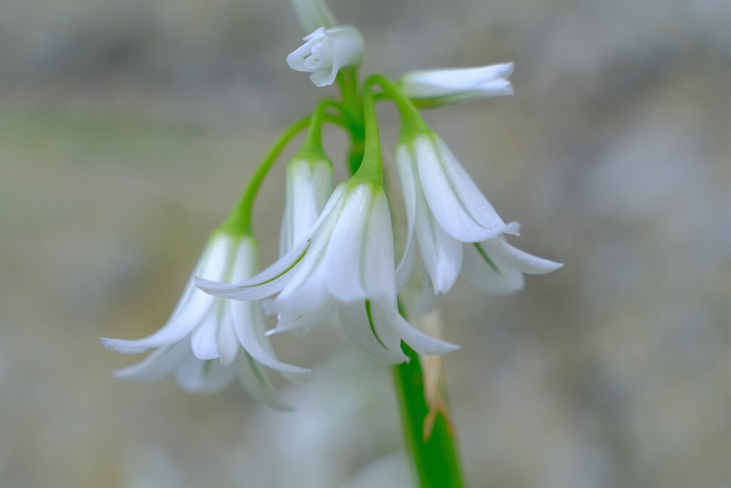 散歩の途中で。Ⅰ