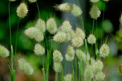 散歩の途中で。Ⅸ