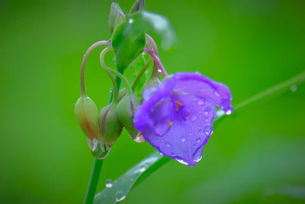 散歩の途中で。８