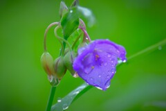 散歩の途中で。８