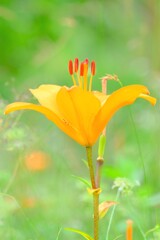 散歩の途中で。2