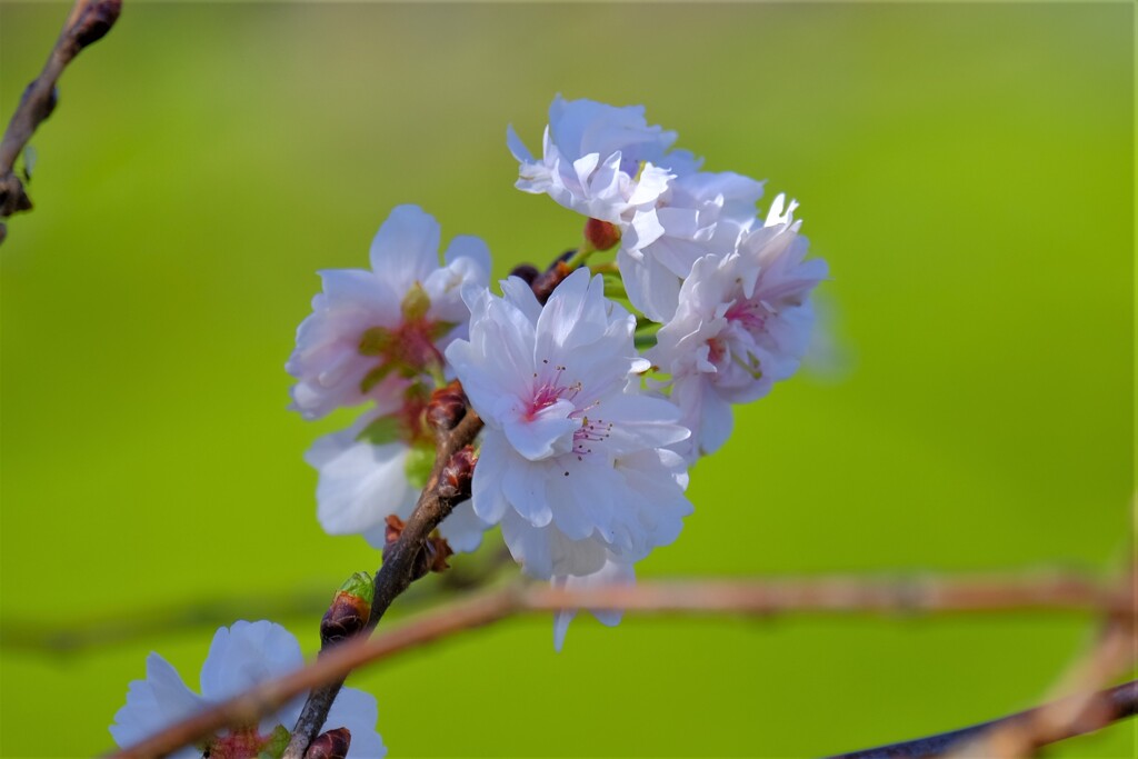 散歩の途中で。Ⅱ