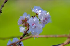 散歩の途中で。Ⅱ