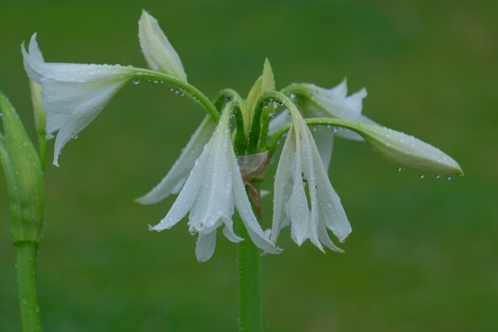 散歩の途中で。