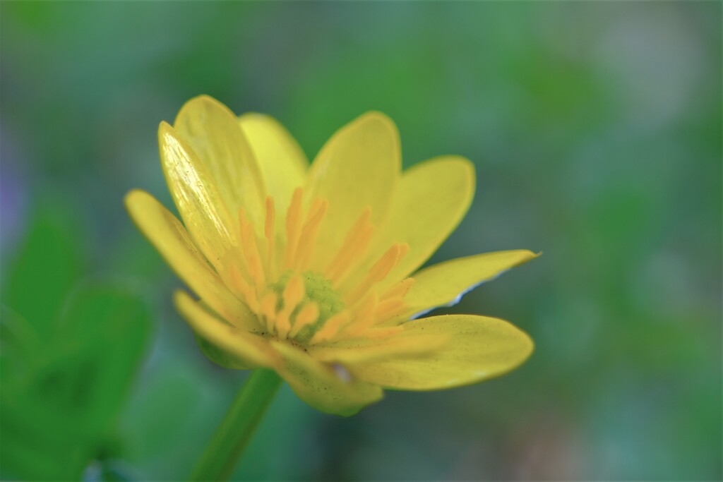散歩の途中で。⑥