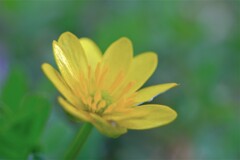 散歩の途中で。⑥