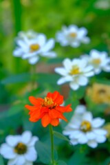 散歩の途中で。Ⅱ