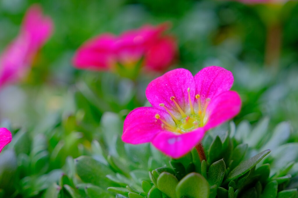 散歩の途中で。Ⅲ