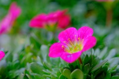 散歩の途中で。Ⅲ