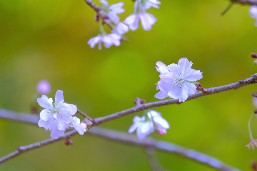 散歩の途中で、２