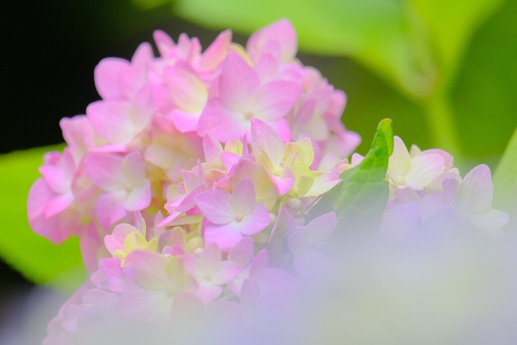 (2)散歩の途中で。-21