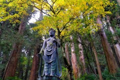 散歩の途中で、遠出　Ⅱ