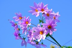 散歩の途中で、１