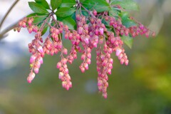 散歩の途中で。14