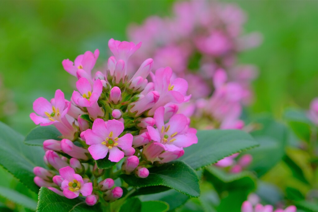 散歩の途中で。Ⅰ