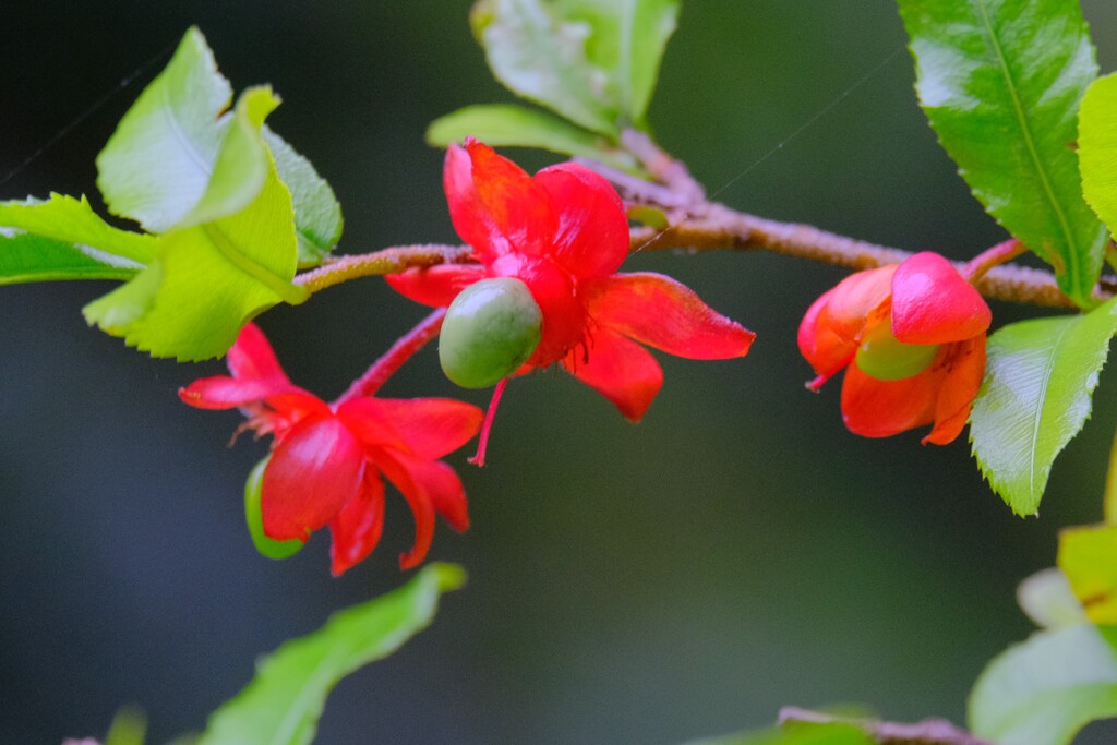 散歩の途中で。