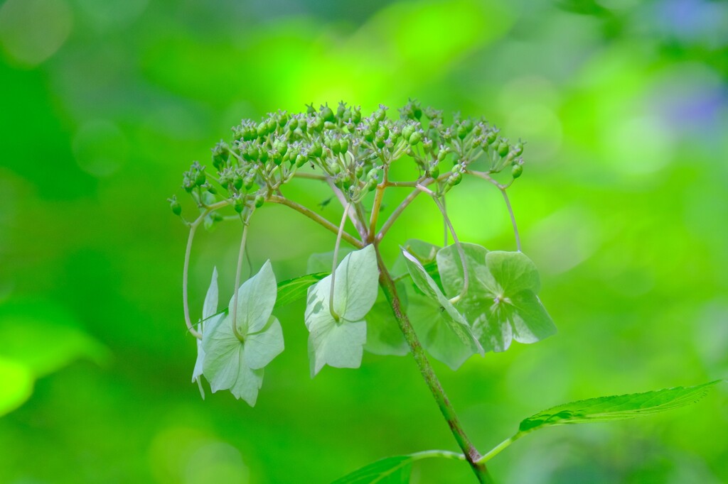 散歩の途中で。