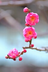 散歩の途中で。Ⅵ