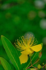 散歩の途中で。Ⅸ