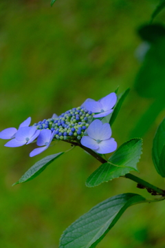散歩の途中で。Ⅹ