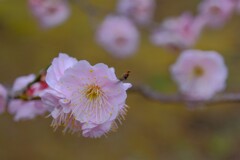 散歩の途中で。８