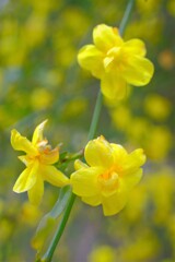 散歩の途中で。Ⅷ