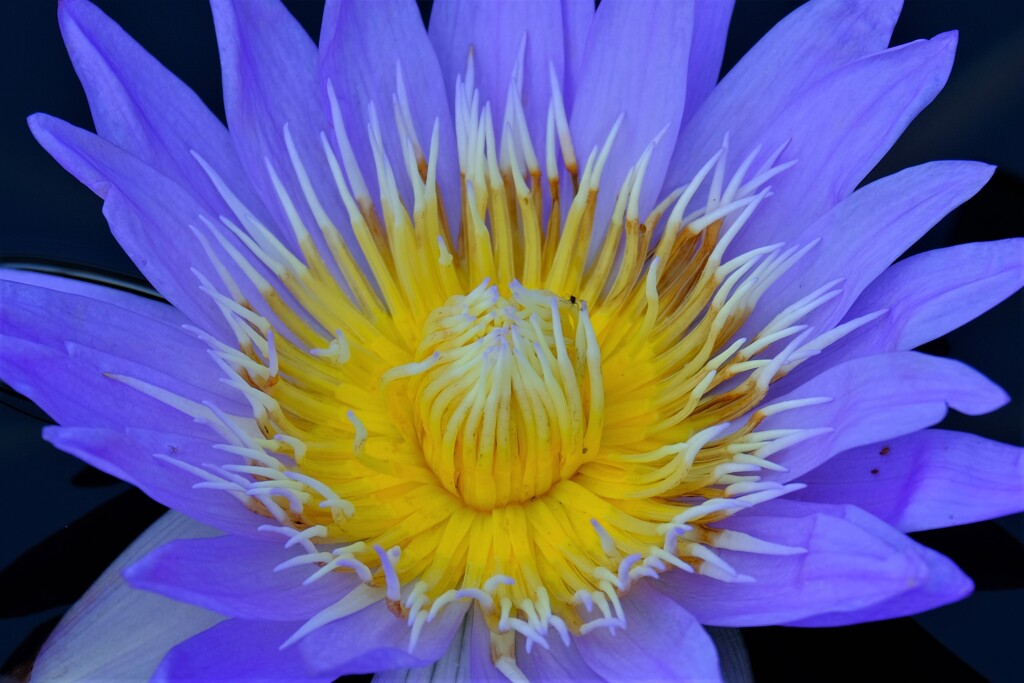 散歩の途中で。4