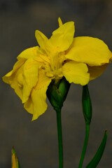 散歩の途中で。Ⅲ