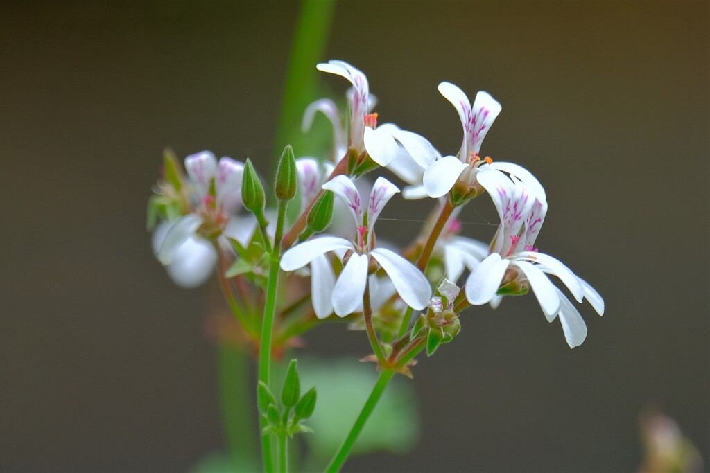 散歩の途中で。②