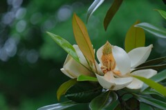 散歩の途中で。