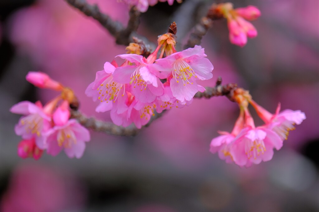 散歩の途中で。Ⅸ